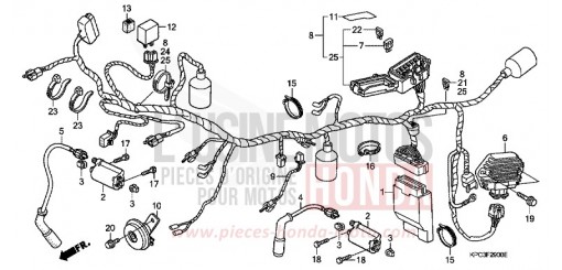 KABELBAUM (XL125V1/2/3/4/5/6) XL125V6 de 2006